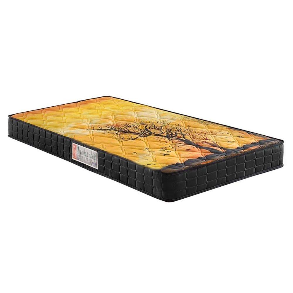 Colchao Solteiro Anatomico D28 Ag 65 Pantanal Black 88x188x17 Anjos