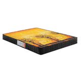 Colchao Queen Anatomico D28 Ag 65 Pantanal Black 158x198x17 Anjos