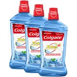 Kit Enxaguante Bucal Colgate Total 12 Clean Mint 1L com 2 unidades