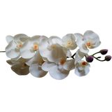 Orquídeas artificias 3D em silicone 6 hastes branco