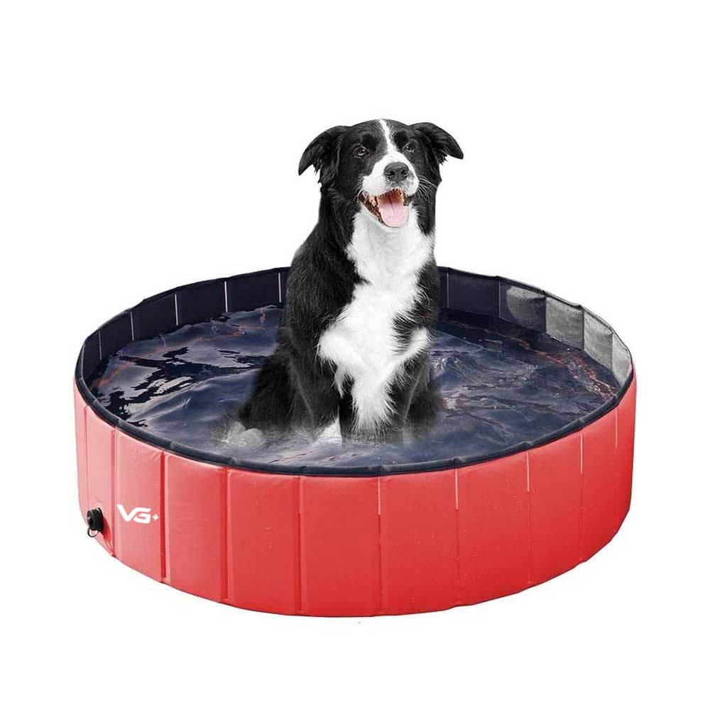 Piscina Para Pets Animais De Estimação 160 Cm X 30 Cm Vg+