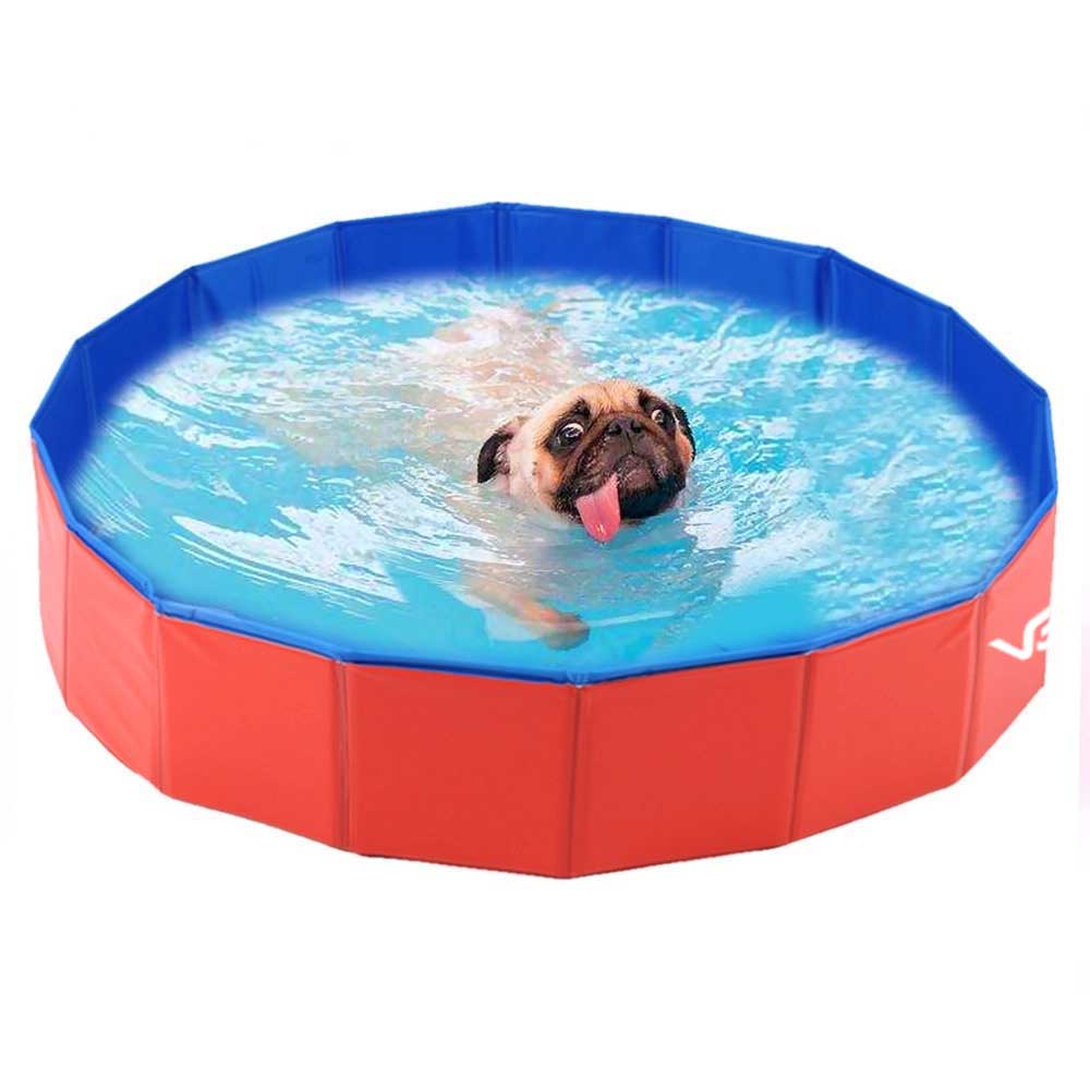 Piscina Para Pets Animais De Estimação 80 Cm X 20 Cm Vg+