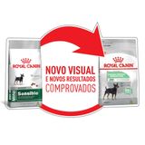 Ração Seca Royal Canin Cuidado Digestivo Para Cães Adultos De Raças Mini A Partir De 10 Meses De Idade - 2.5 Kg