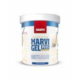 Emulsificante Gel Plus Para Confeitaria E Sorvete 850g - Marvi