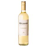 Vinho Benjamin Nieto Chardonnay Branco 750ml