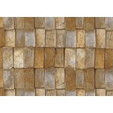 Papel De Parede Terra Gracia Wood Growth Ring (light Ocher) 831181