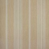 Papel De Parede Listrado Classic Stripes Ct889020 Vinílico - Rolo: 10m X 0,53m