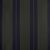 Papel De Parede Listrado Classic Stripes Ct889044 Vinílico - Rolo: 10m X 0,53m