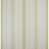 Papel De Parede Listrado Classic Stripes Ct889087 Vinílico - Rolo: 10m X 0,53m