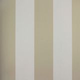 Papel De Parede Listrado Classic Stripes Ct889061 Vinílico - Rolo: 10m X 0,53m