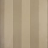 Papel De Parede Listrado Classic Stripes Ct889011 Vinílico - Rolo: 10m X 0,53m