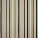 Papel De Parede Listrado Classic Stripes Ct889027 Vinílico - Rolo: 10m X 0,53m