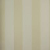 Papel De Parede Listrado Classic Stripes Ct889009 Vinílico - Rolo: 10m X 0,53m