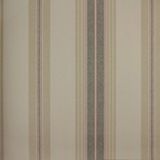 Papel De Parede Listrado Classic Stripes Ct889094 Vinílico - Rolo: 10m X 0,53m