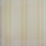 Papel De Parede Listrado Classic Stripes Ct889047 Vinílico - Rolo: 10m X 0,53m