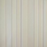 Papel De Parede Listrado Classic Stripes Ct889026 Vinílico - Rolo: 10m X 0,53m