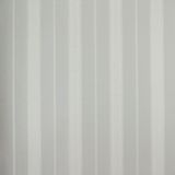 Papel De Parede Listrado Classic Stripes Ct889067 Vinílico - Rolo: 10m X 0,53m