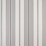 Papel De Parede Listrado Classic Stripes Ct889099 Vinílico - Rolo: 10m X 0,53m