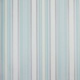 Papel De Parede Listrado Classic Stripes Ct889078 Vinílico - Rolo: 10m X 0,53m