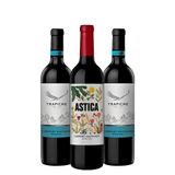 Kit Vineyards E Astica Cabernet Sauvignon- 3 Unidades