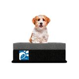 Cama Box Pet Cachorro Gato Medio Propet Plus Cinzapreto 75x55x15 Probel