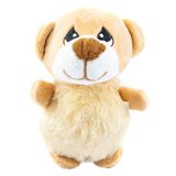 Brinquedo Pelúcia Ursinho Para Cães - Tam. Único