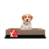 Cama Box Pet Cachorro Gato Medio Sleep Foam Marrompreto 75x55x10 Pelmex