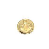 Broche Botton Serviço Assistente Social Folheado Ouro 18k