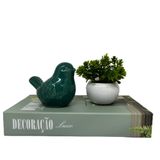 Kit Decoração Livro + Mini Vaso Cerâmico + Pássaro Verde